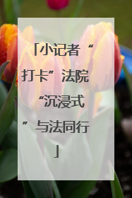 小记者“打卡”法院 “沉浸式”与法同行