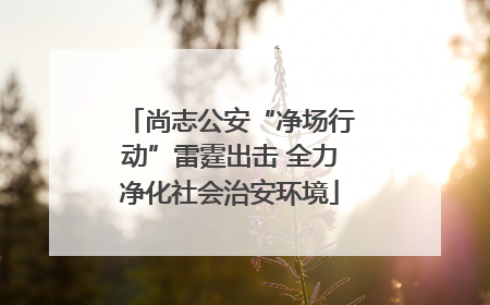 尚志公安“净场行动”雷霆出击 全力净化社会治安环境