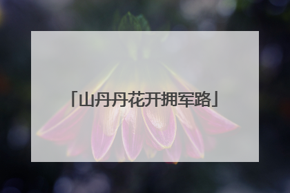 山丹丹花开拥军路