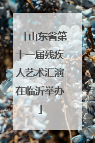 山东省第十一届残疾人艺术汇演在临沂举办
