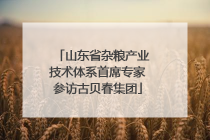 山东省杂粮产业技术体系首席专家参访古贝春集团