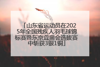 山东省运动员在2025年全国残疾人羽毛球锦标赛暨东京聋奥会选拔赛中斩获3银1铜