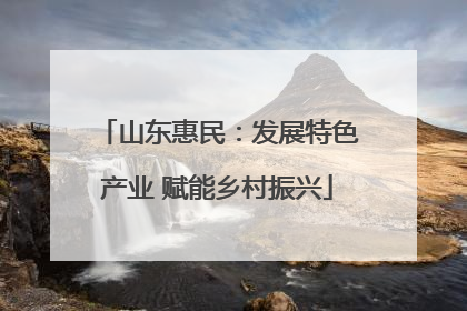 山东惠民：发展特色产业 赋能乡村振兴