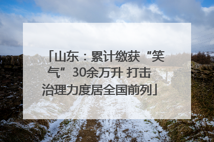 山东：累计缴获“笑气”30余万升 打击治理力度居全国前列