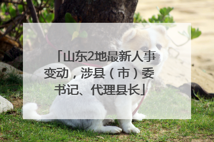 山东2地最新人事变动，涉县（市）委书记、代理县长
