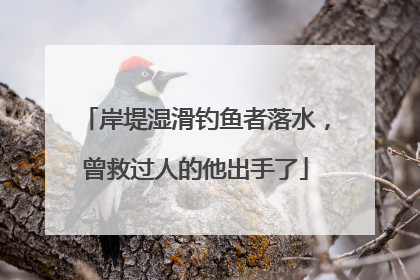 岸堤湿滑钓鱼者落水，曾救过人的他出手了