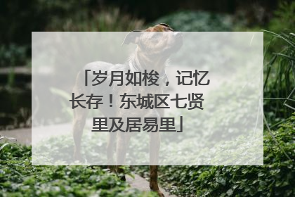 岁月如梭，记忆长存！东城区七贤里及居易里