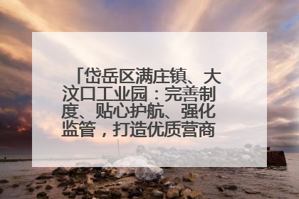 岱岳区满庄镇、大汶口工业园：完善制度、贴心护航、强化监管，打造优质营商“强磁场”