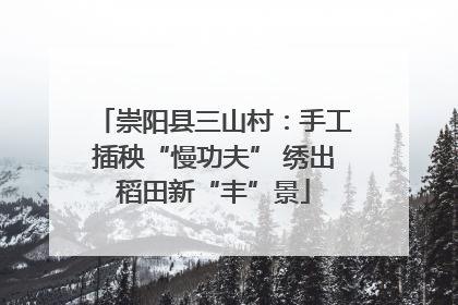 崇阳县三山村：手工插秧“慢功夫” 绣出稻田新“丰”景