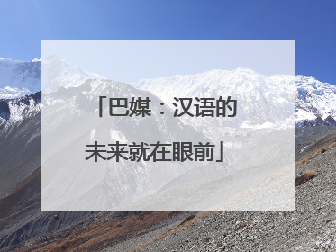 巴媒：汉语的未来就在眼前