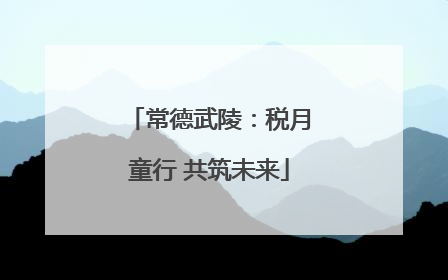 常德武陵：税月童行 共筑未来