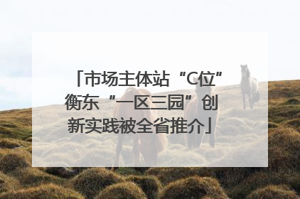 市场主体站“C位” 衡东“一区三园”创新实践被全省推介