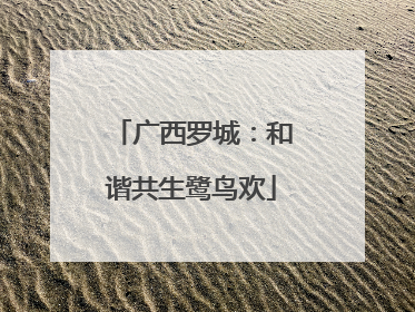广西罗城：和谐共生鹭鸟欢