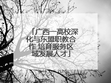 广西一高校深化与东盟职教合作 培育服务区域发展人才