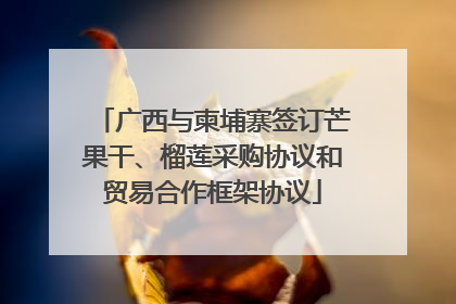 广西与柬埔寨签订芒果干、榴莲采购协议和贸易合作框架协议