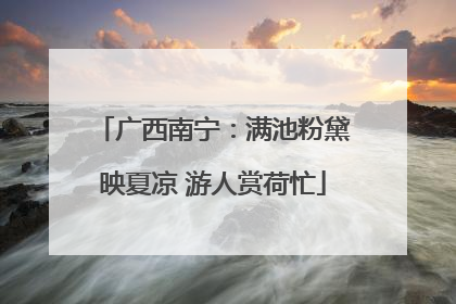 广西南宁：满池粉黛映夏凉 游人赏荷忙