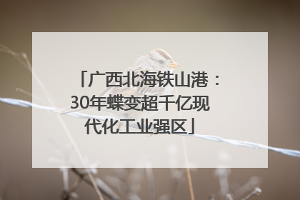 广西北海铁山港：30年蝶变超千亿现代化工业强区