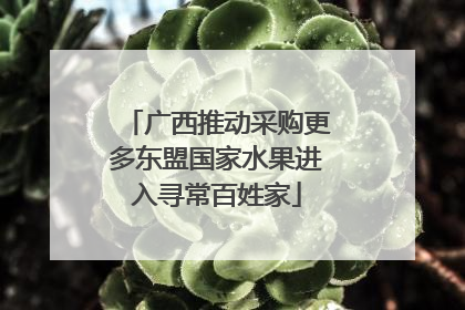 广西推动采购更多东盟国家水果进入寻常百姓家