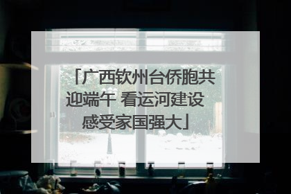 广西钦州台侨胞共迎端午 看运河建设感受家国强大