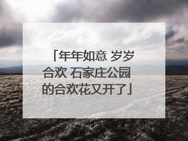 年年如意 岁岁合欢 石家庄公园的合欢花又开了