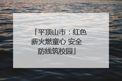 平顶山市：红色薪火燃童心 安全防线筑校园