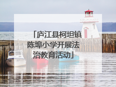 庐江县柯坦镇陈埠小学开展法治教育活动