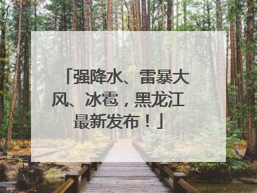 强降水、雷暴大风、冰雹，黑龙江最新发布！