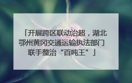 开展跨区联动治超，湖北鄂州黄冈交通运输执法部门联手整治“百吨王”