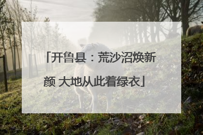 开鲁县：荒沙沼焕新颜 大地从此着绿衣