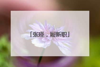 张瑾，履新职