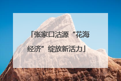 张家口沽源“花海经济”绽放新活力