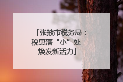 张掖市税务局：税惠落“小”处 焕发新活力