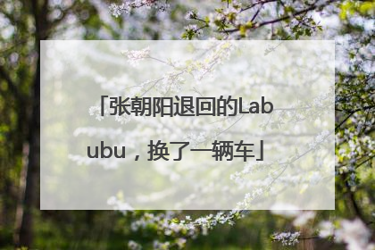 张朝阳退回的Labubu，换了一辆车