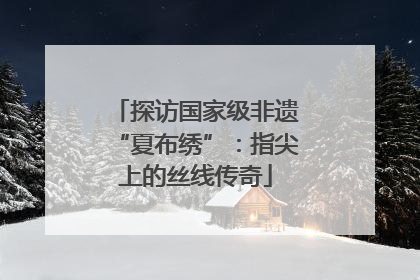 探访国家级非遗“夏布绣”：指尖上的丝线传奇