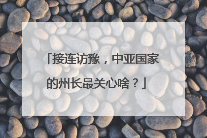 接连访豫，中亚国家的州长最关心啥？