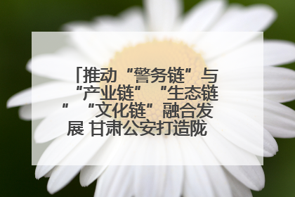 推动“警务链”与“产业链”“生态链”“文化链”融合发展 甘肃公安打造陇原旅游警务品牌