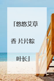 悠悠艾草香 片片粽叶长