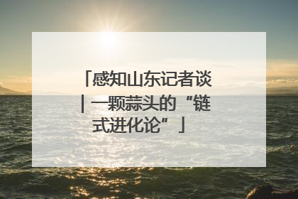 感知山东记者谈｜一颗蒜头的“链式进化论”