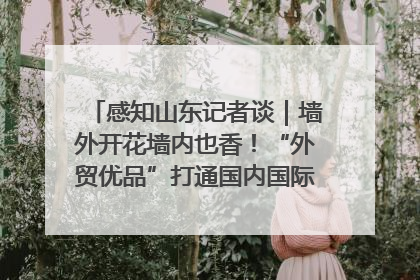 感知山东记者谈｜墙外开花墙内也香！“外贸优品”打通国内国际市场“旋转门”