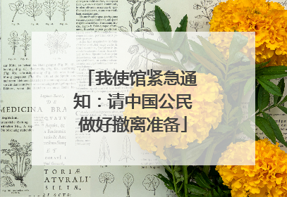 我使馆紧急通知：请中国公民做好撤离准备