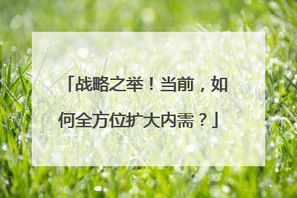 战略之举！当前，如何全方位扩大内需？
