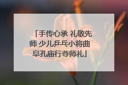 手传心承 礼敬先师 少儿乒乓小将曲阜孔庙行尊师礼