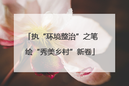 执“环境整治”之笔 绘“秀美乡村”新卷