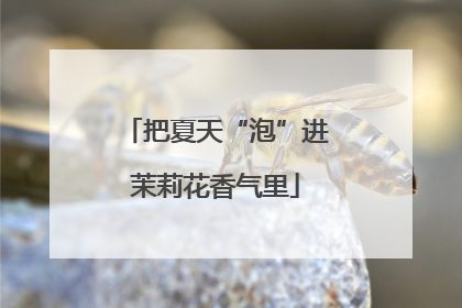 把夏天“泡”进茉莉花香气里
