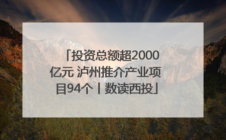 投资总额超2000亿元 泸州推介产业项目94个丨数读西投