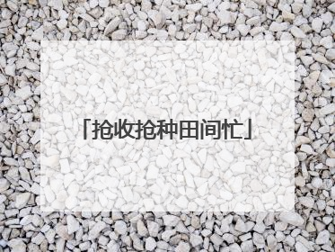 抢收抢种田间忙