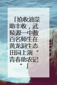 抢收油菜助丰收，武陵源一中数百名师生在黄龙洞生态田园上演“青春助农记”