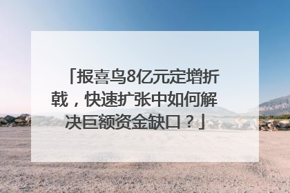 报喜鸟8亿元定增折戟，快速扩张中如何解决巨额资金缺口？