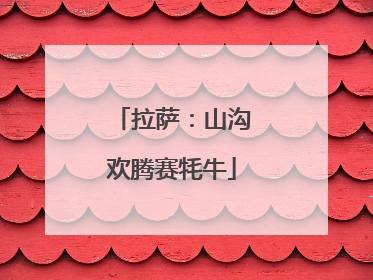 拉萨：山沟欢腾赛牦牛