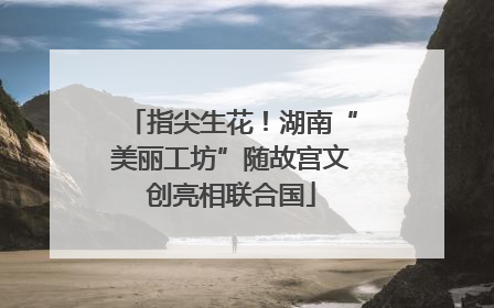 指尖生花！湖南“美丽工坊”随故宫文创亮相联合国